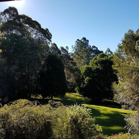 The Paddocks Villa Maleny Exterior foto